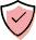 100% Secure Payment